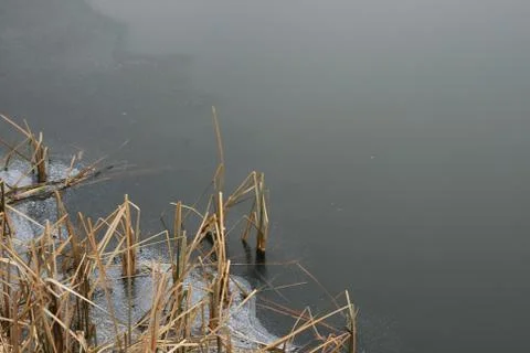 Frozen lake edge Stock Photos