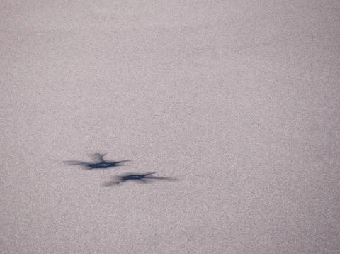Frozen lake elements close-up, Germany Foto stock