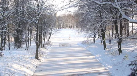 Frozen lake  Stock Footage 953575