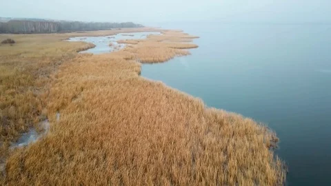 Frozen lake Stock Footage 82751059