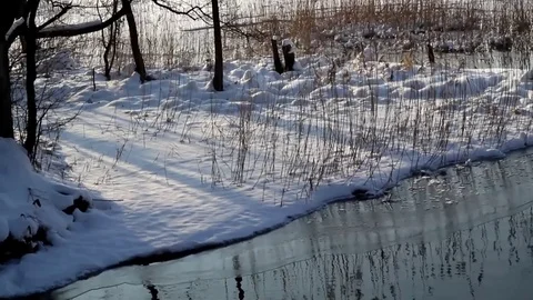 Frozen lake Stock Footage 99119017