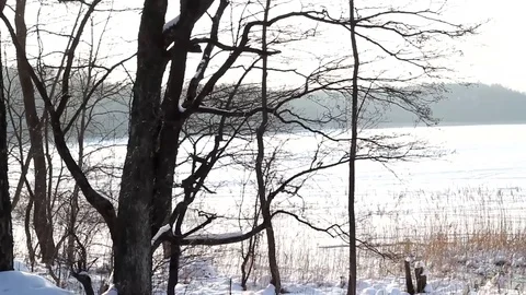 Frozen lake Stock Footage 99119038