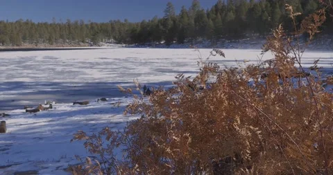 Frozen Lake Stock Footage 145919980