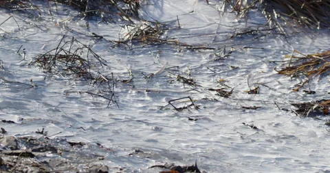 Frozen lake Stock Footage 253171706