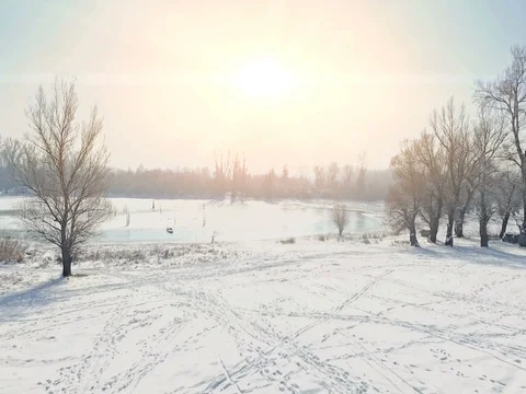 Frozen lake in the forest Stock Footage 78582905