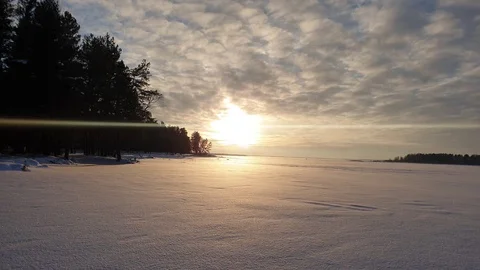 Frozen lake in the forest Stock Footage 101613143