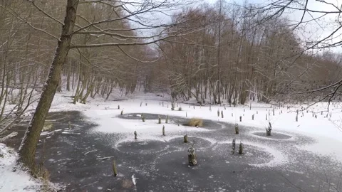 Frozen Lake in the forest. Stock Footage 147592898