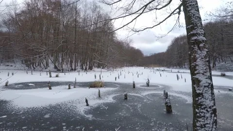 Frozen Lake in the forest. Stock Footage 147600751