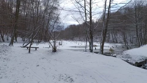 Frozen Lake in the forest. Stock Footage 147623295