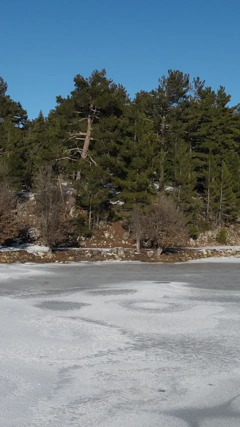 Frozen Lake In Forest Stock Footage 295333412