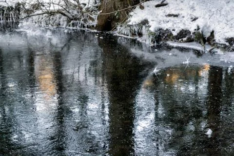 Frozen lake in forest Stock Photos