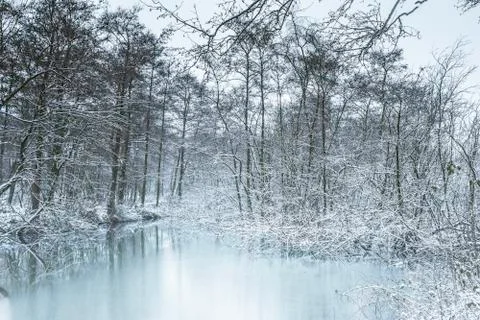 Frozen lake in forest.Winter wonderland landscape. Stock Photos