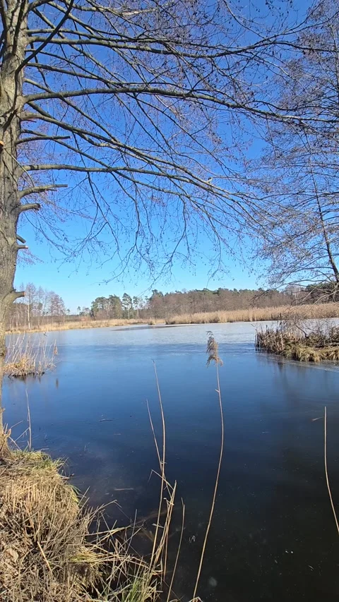 Frozen Lake Hypnosis Mesmerizing Ice Patterns in 4K - Ultra HD Winter Wonderland Stock Footage 311394143