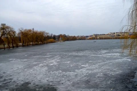 Frozen lake landscape with bare trees and cloudy sky 库存照片