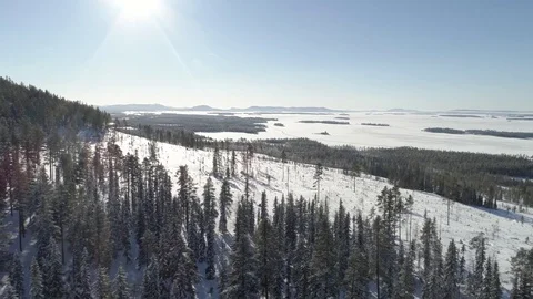 Frozen lake landscape Video stock 77841520