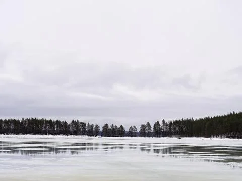 Frozen lake landscape forest reflection fog Foto stock