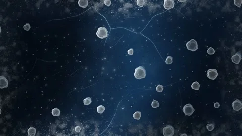 Frozen Lake Methane Bubble Stacks Black Ice Seamless Loop Stock Footage 346879189