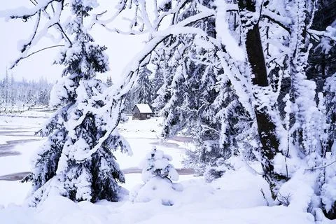 Frozen Lake Oder in Snow Stock Photos