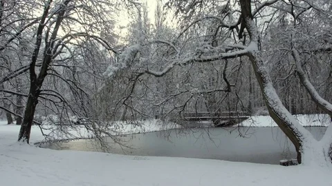 Frozen lake in the park Stock Footage 70559107
