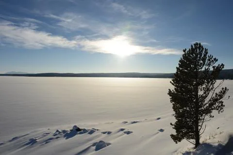 Frozen lake Stock Photos
