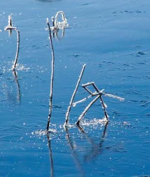 Frozen lake Stock Photos