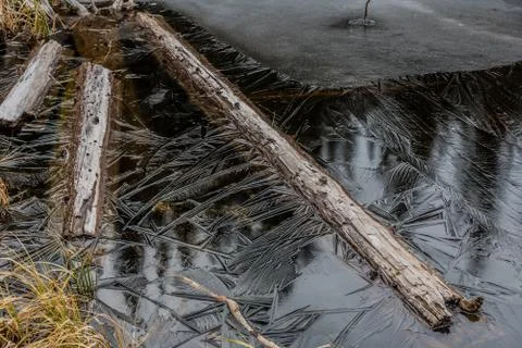 Frozen Lake Stock Photos
