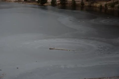 Frozen Lake Stock Photos