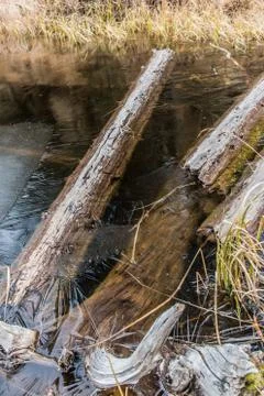 Frozen Lake Stock Photos