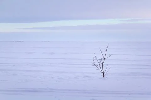 Frozen lake Stock Photos