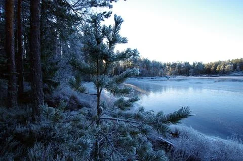 Frozen lake Stock Photos