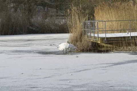 Frozen lake Stock Photos
