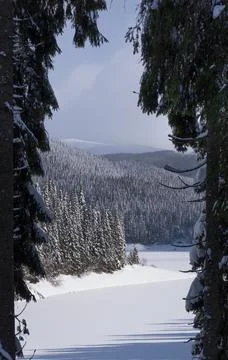 Frozen lake 스톡 사진