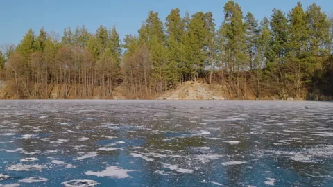 Frozen lake in a pine forest on a sunny winter day. Scenic landscape Vídeo Stock 330331863