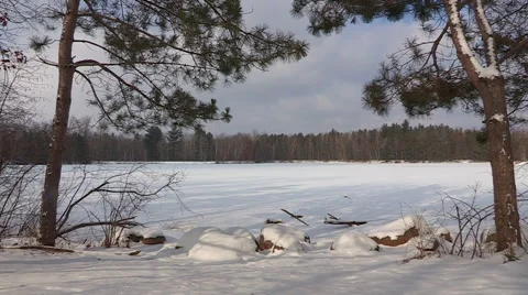Frozen Lake with Pine Trees in Foreground Stock Footage 48137015