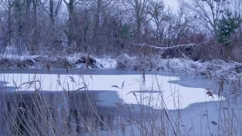 Frozen lake, pond in winter Stock-Footage 71158028