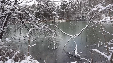 A Frozen Lake with Snow Covered Trees Stock Footage 147559486