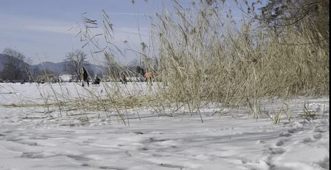 Frozen Lake Snow Stock Footage 91734324