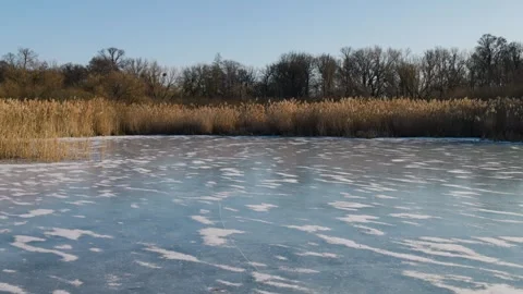 Frozen lake with snow patterns and dry reed thickets under a clear blue sky. Vídeo Stock 330331843