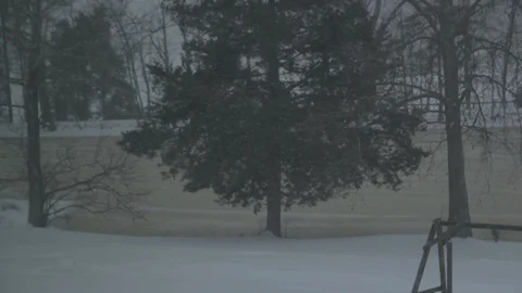 Frozen Lake Snowing Winter Pine Tree Stock-Footage 106679343