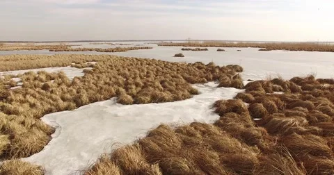 Frozen Lake in the Spring 1 库存影片 64775540