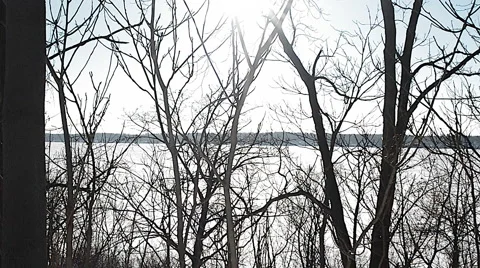 Frozen Lake, Sun Through trees, Winter Stock Footage 45893223
