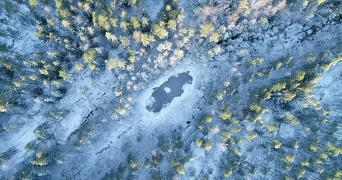 Frozen Lake surrounded by snow-covered in Finland Stock Footage 120871873