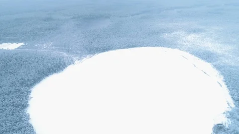 Frozen Lake Surrounded by Winter Forest, Aerial View Stock Footage 86323881