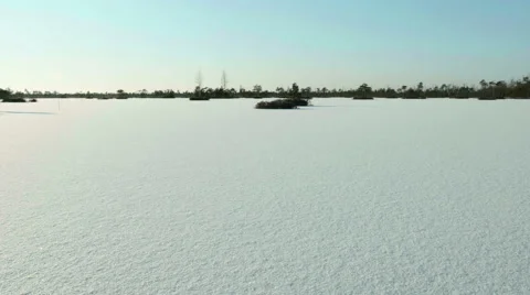 Frozen lake under the snow. Clean and frosty daytime. Smooth dolly shot. Stock Footage 59533261