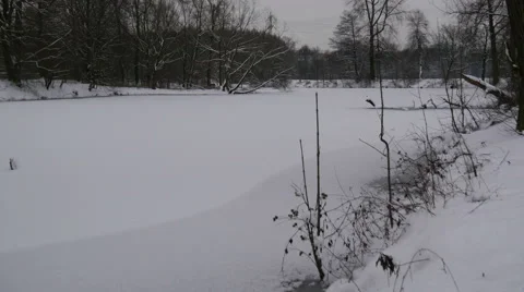 Frozen Lake in Winter 動画素材 46482106