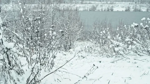 Frozen lake in the winter forest. Stock Footage 83928385