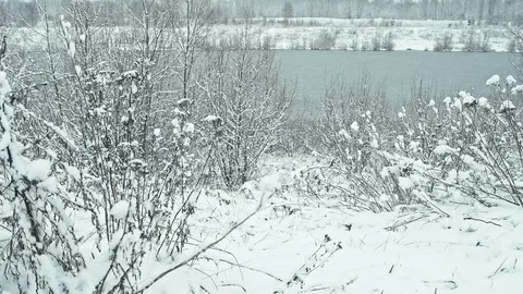 Frozen lake in the winter forest. Stock Footage 83928518