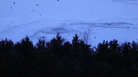 Frozen Lake in Winter with Patch of Open Water and Birds Flying in Real Time 動画素材 126556654