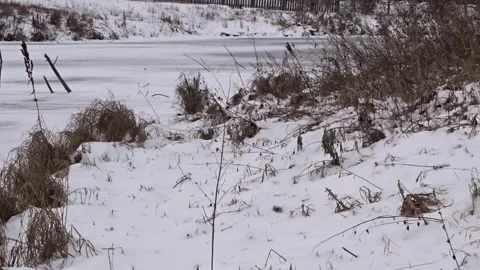 Frozen lake in winter in Siberia Stock Footage 260397751