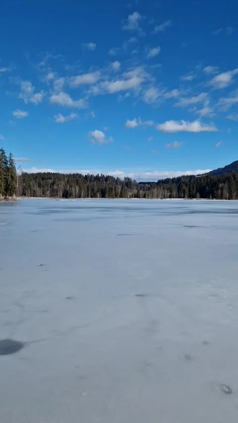 Frozen Lake in Winter Silence Video stock 312216201